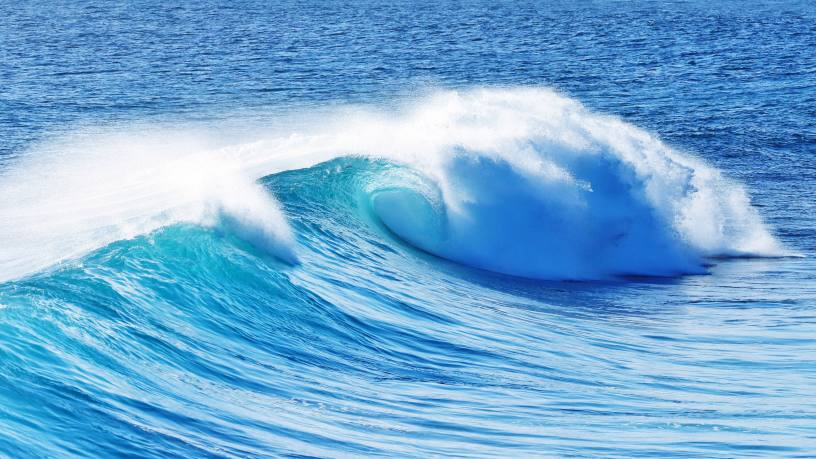  © Envato/CESARE FELIX